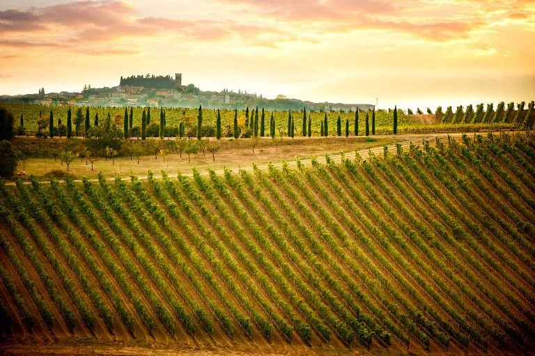 Chianti-Hügel mit Weinbergen und Zypressen. Toskanische Landschaft zwischen Siena und Florenz. Italien