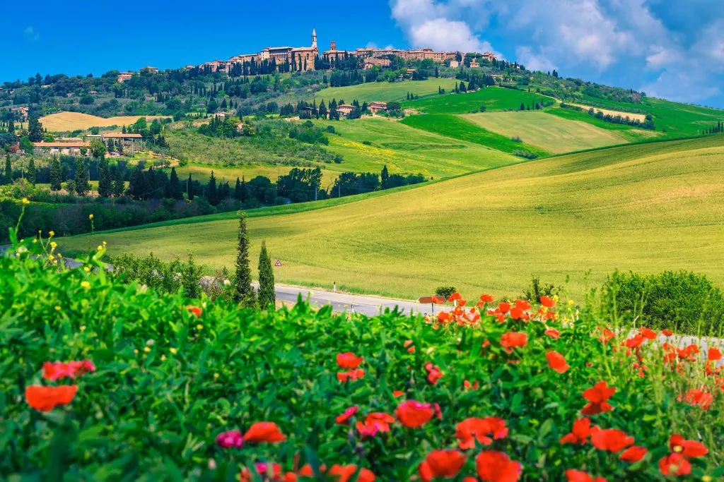 Espectacular paisaje urbano de la Toscana y amapolas rojas en flor, Pienza, Italia, Europa