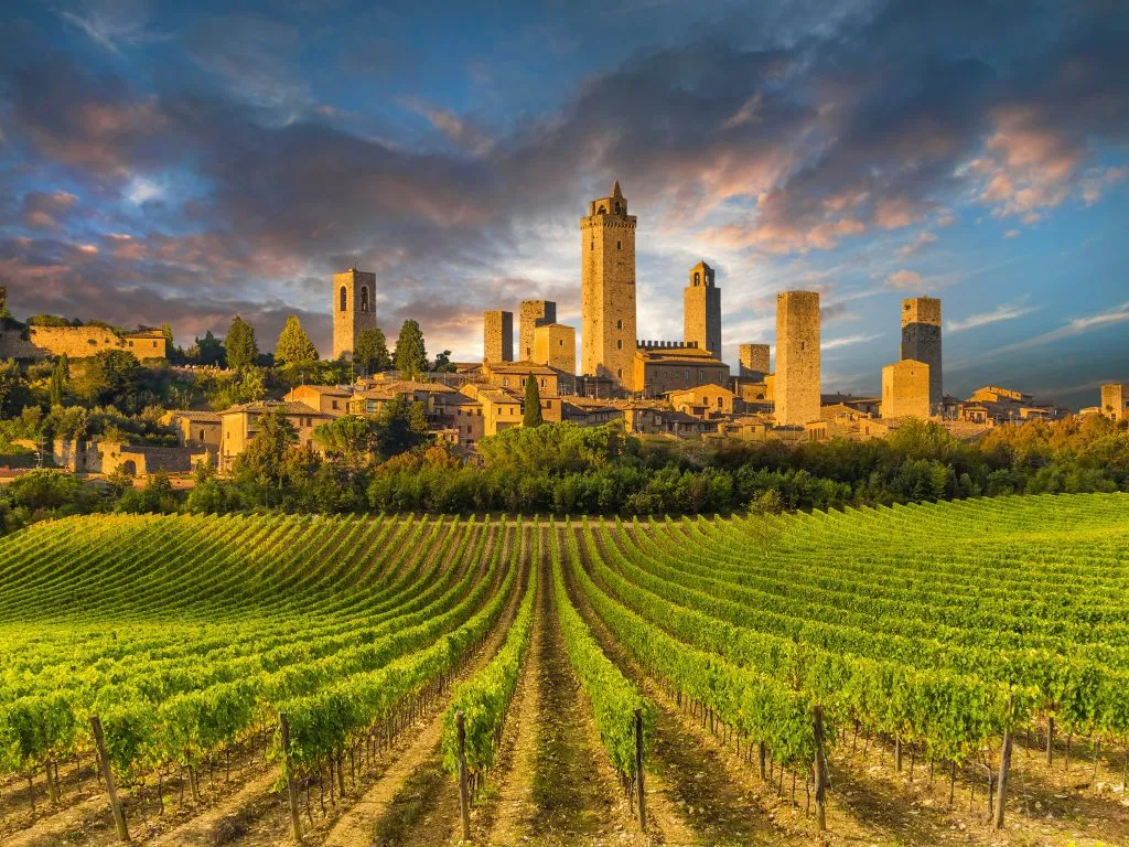 Weinberge von San Gimignano, Toskana, Italien
