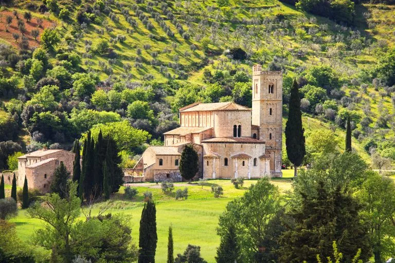 Kirche Sant Antimo Montalcino und Olivenbaum. Orcia, Toskana, Es