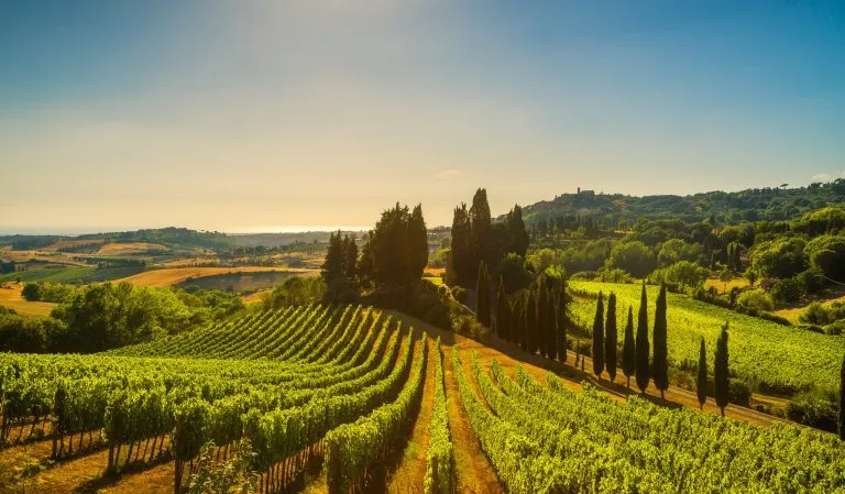 Casale Marittimo dorp, wijngaarden en landschap in Maremma. Toscane, Italië.