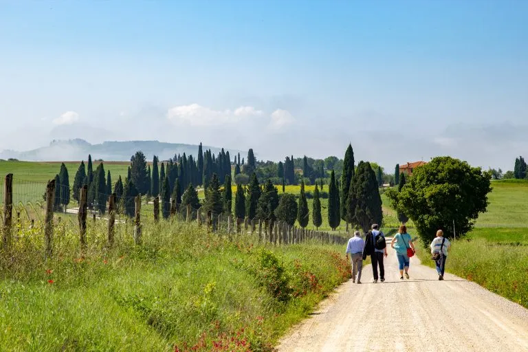 Walking on Tuscan path