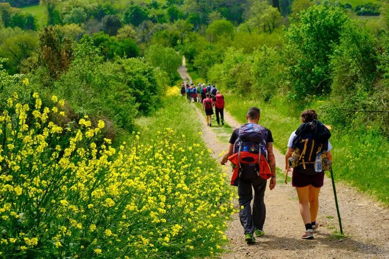 Pèlerins marchant sur le chemin de San Gimignano à travers les bois et les buissons jaunes. Randonnée en solitaire sur la Via Francigena de Lucques à Sienne. Marche entre la nature, l'histoire et les églises,